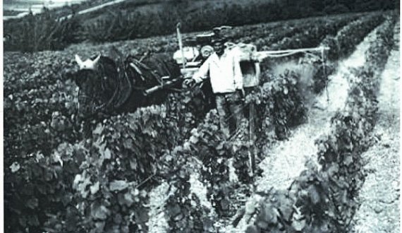 Serge GOISOT, founder of the Domaine in 1947