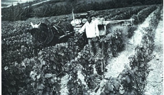 Serge GOISOT, fondateur du Domaine en 1947